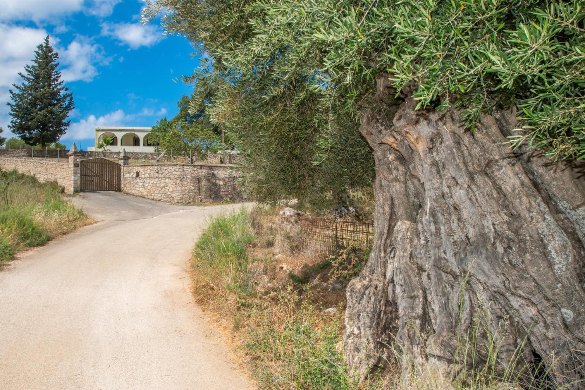 Leandros Private House Near Shipwreck Beach By "Elite" Maries  Bagian luar foto